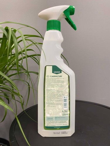 canna-cure-krakow-ochrona-roslin.jpg