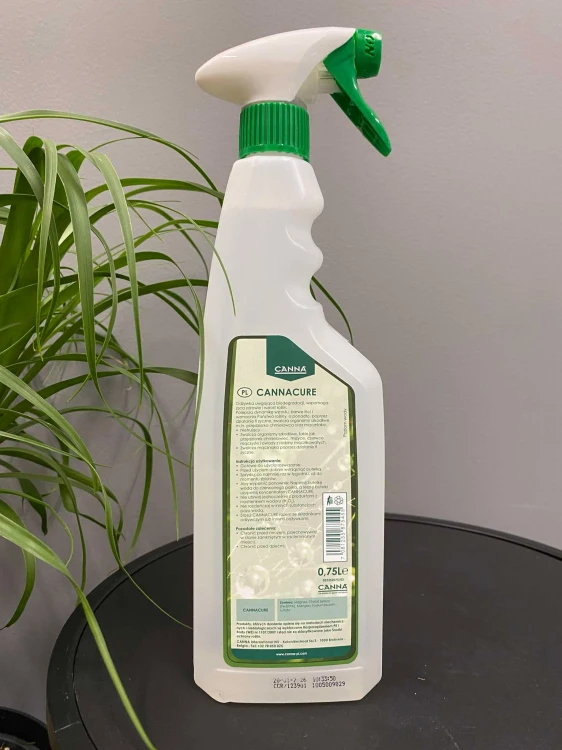 canna-cure-krakow-ochrona-roslin.jpg