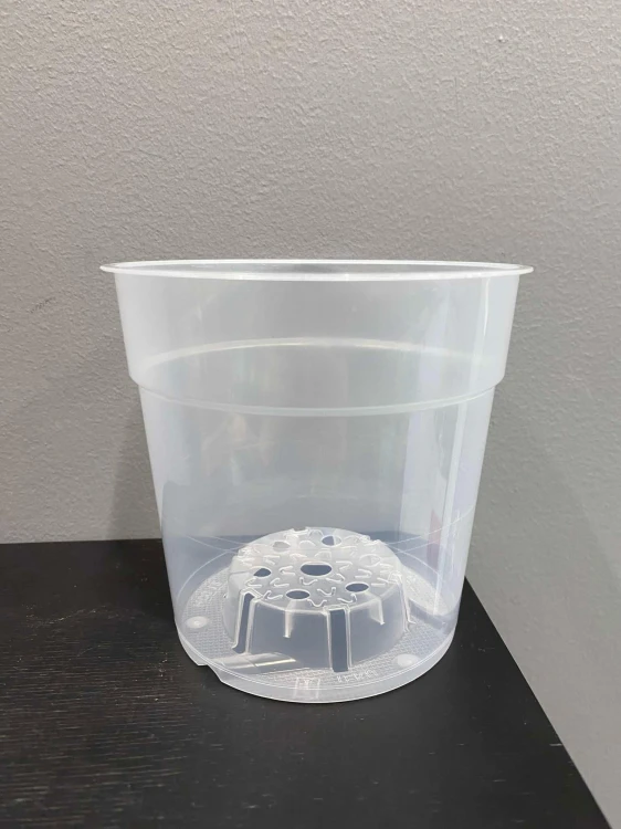 11 cm.jpg