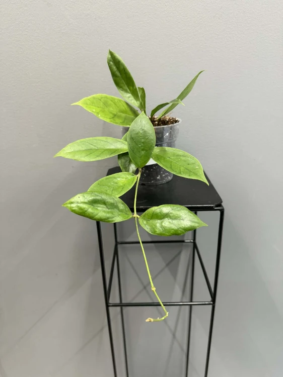 e6a12273-0661-4da1-9add-bd8b1d1e4bdb.jpg