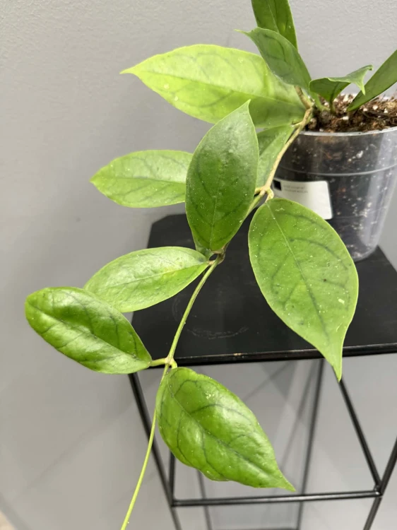 48c417f9-dc42-4642-b46f-f787e90dfcf7.jpg