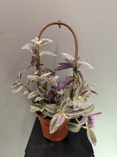 6a8c1fca-631f-40a7-a560-daef88aadb2b.jpg