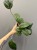 effce4bc-4fc2-4a9b-8ab2-eb44af6e3b4f.jpg