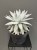 aff129bd-3838-456b-bf04-88d291fbe7ba.jpg