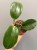 IMG_6527.jpeg