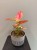 IMG_6552.jpeg