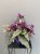 IMG_6795.jpeg