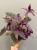 IMG_6798.jpeg