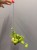 IMG_6897.jpeg