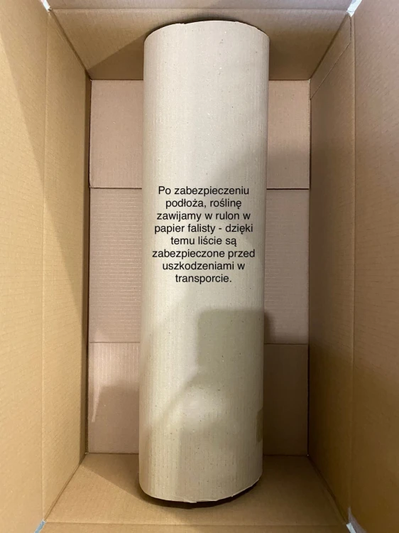 image_6487327.JPG