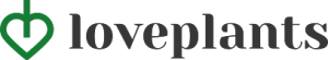 Shoper demo brak logo - strona główna