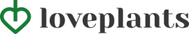 Shoper demo brak logo - strona główna